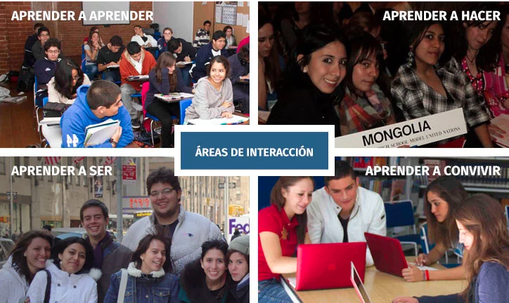 areas-de-interaccion-bachillerato-internacional